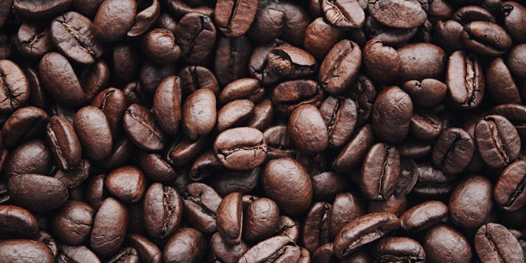 Der Anstieg des Fairtrade-Konsums in Deutschland